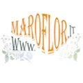 maroflor.com