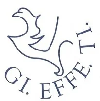 gieffeti.it