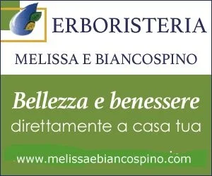 melissaebiancospino.com