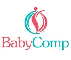 lady.babycomp-it.org