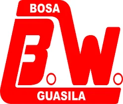 bosawalter.it