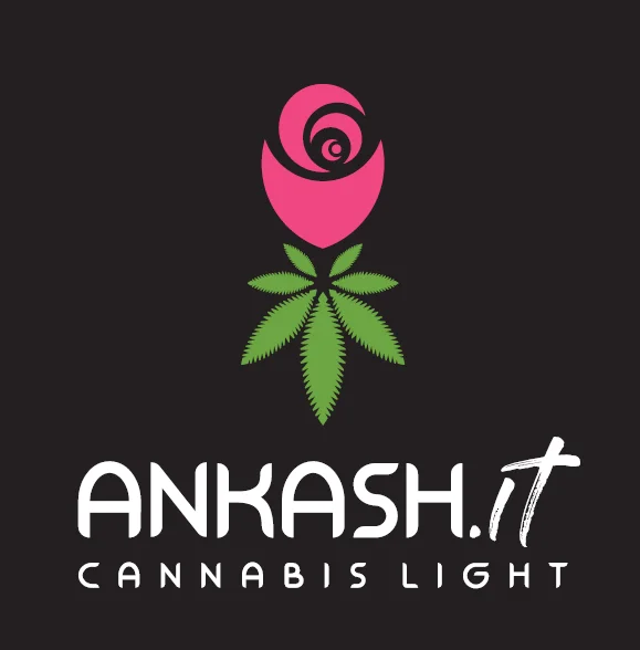 ankash.it