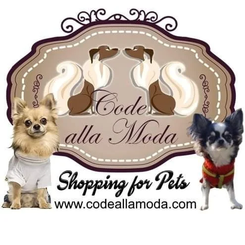 codeallamoda.com